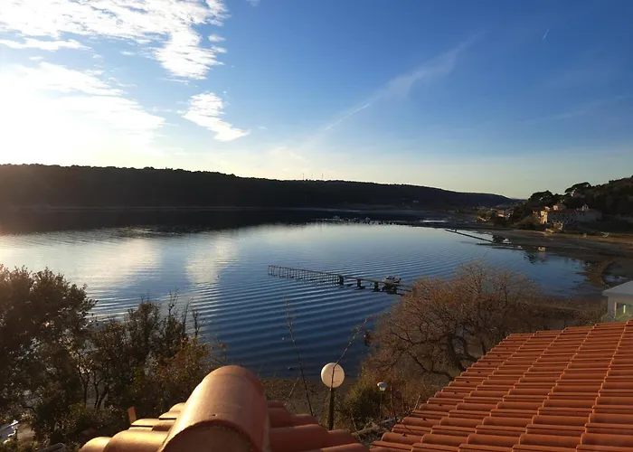 Apartman Vidas